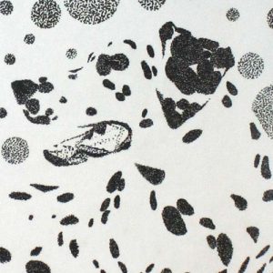 Dalmatiër stippen pen op papier door Hanny de Beer